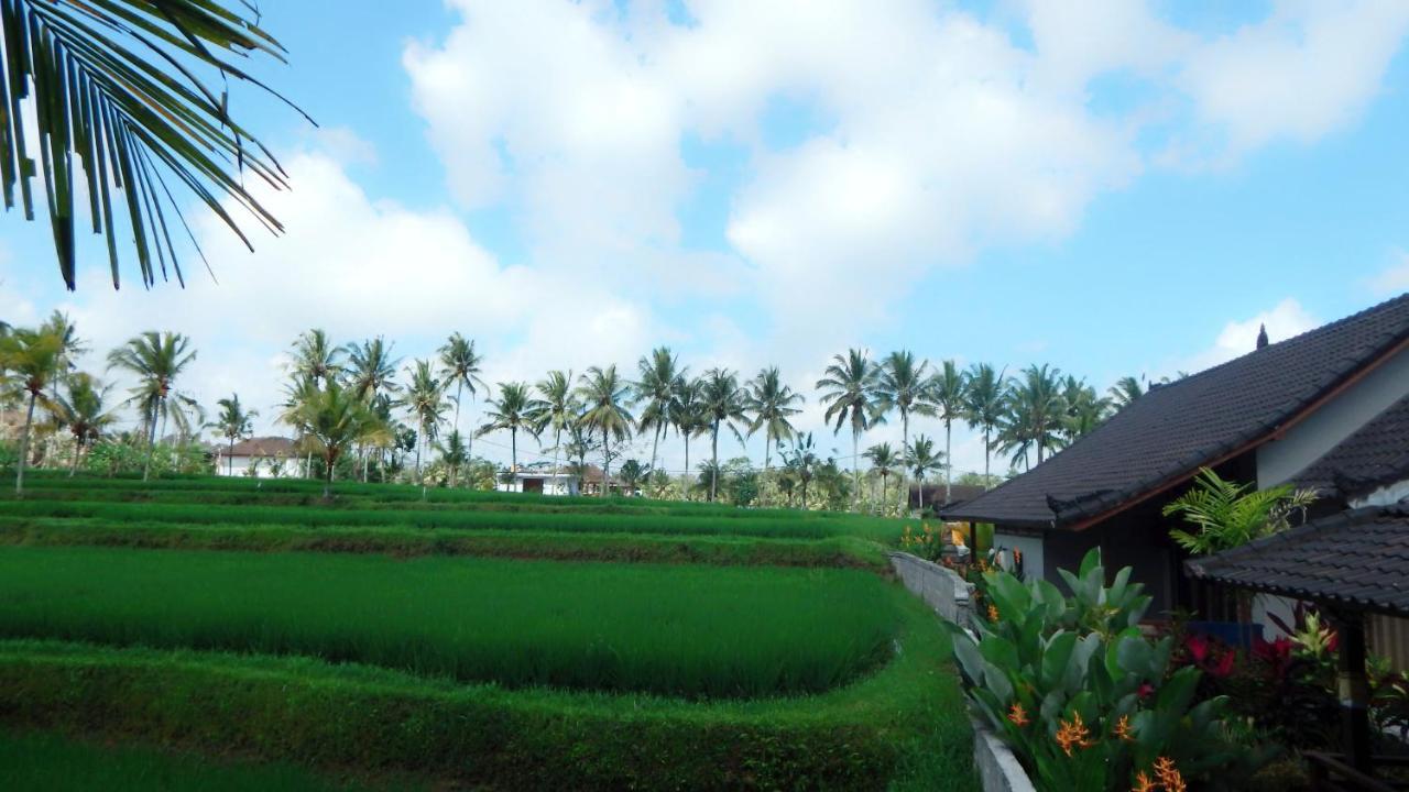 Amaya Cottage Ubud By Shm Esterno foto