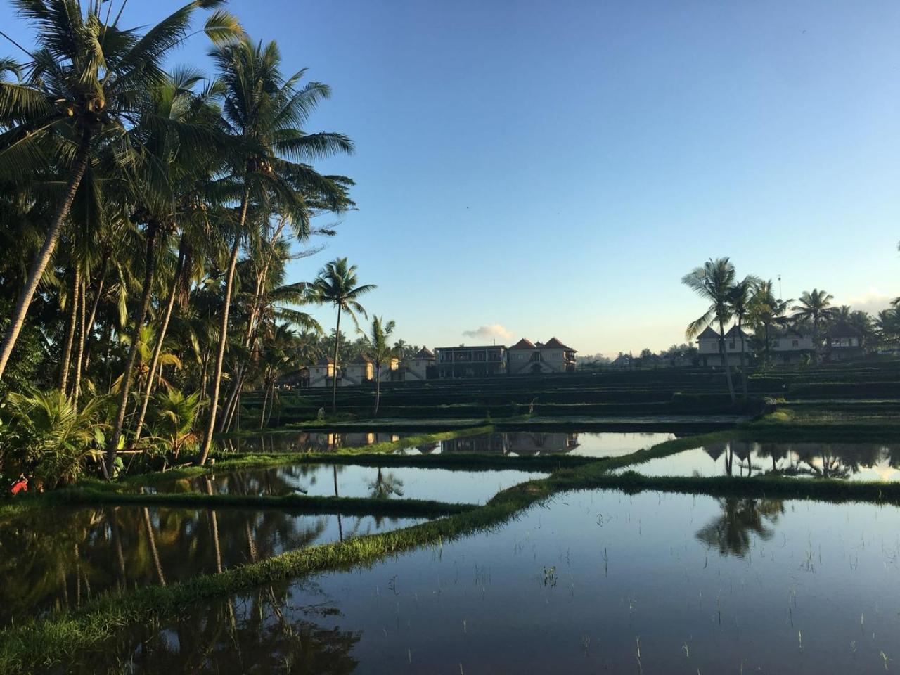 Amaya Cottage Ubud By Shm Esterno foto
