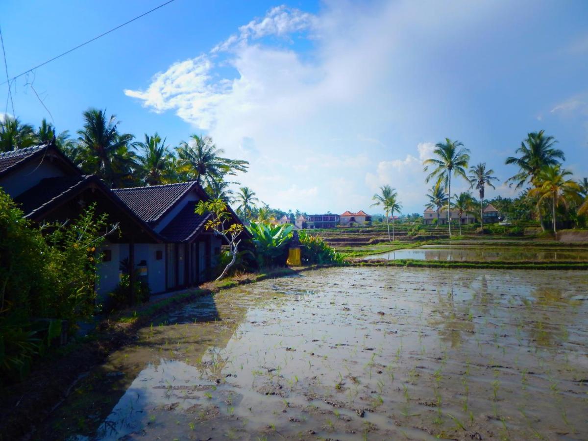 Amaya Cottage Ubud By Shm Esterno foto
